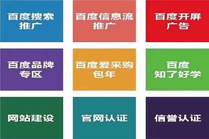 百度竞价排名案例解析：如何快速提升网站流量